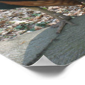 Indianerpfau Poster (Ecke)