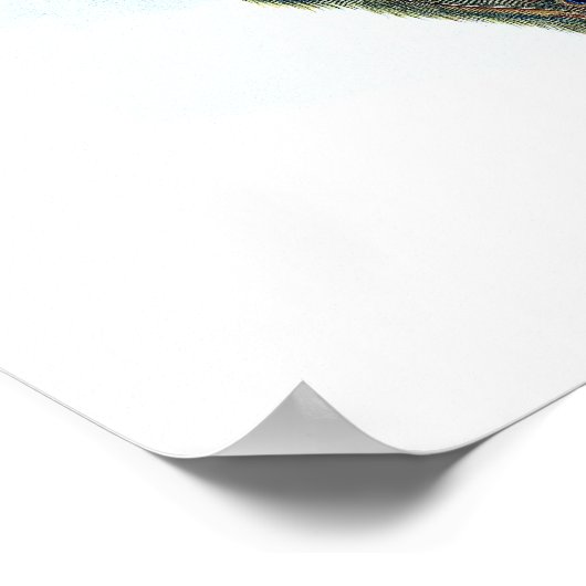 Indianerpfeife Poster (Ecke)