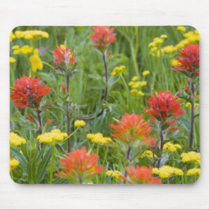 Indianerpinsel und Biscuitroot-Wildblumen Mousepad