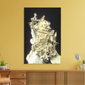 Indianersilber (Ag) auf Kalkstein, Kanada Leinwanddruck (Insitu (Wohnzimmer))