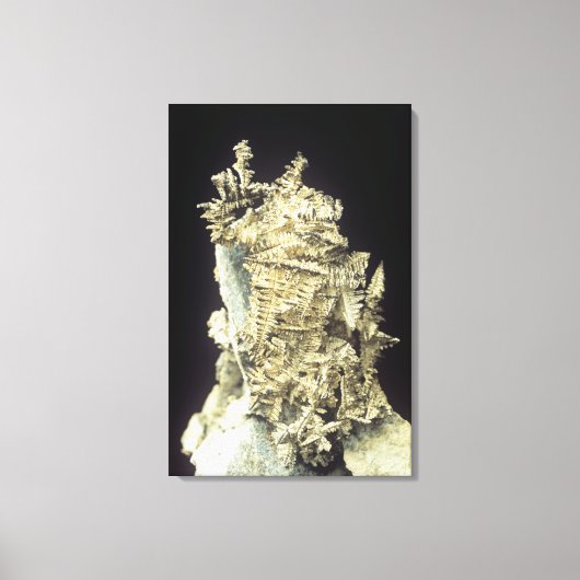 Indianersilber (Ag) auf Kalkstein, Kanada Leinwanddruck (Vorderseite)