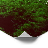 Indianersprichwort Poster (Ecke)