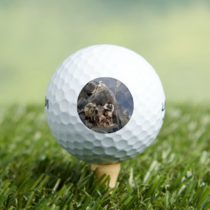 Indianische Ikonen: Apache Krieger, US-Kavallerie Golfball