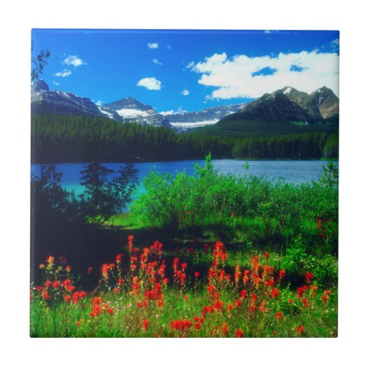 Indianische Pinselblumen Fliese (Vorderseite)