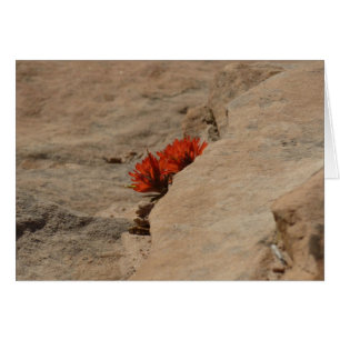 Indianischer Pinsel in Felsen in Zion