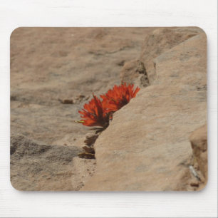 Indianischer Pinsel in Felsen in Zion Mousepad