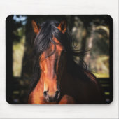 Indico VII Hauptschuß Mousepad (Vorne)