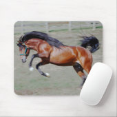 Indico VII heraus erreichend Mousepad (Mit Mouse)