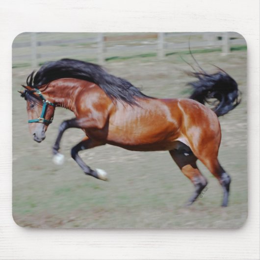 Indico VII heraus erreichend Mousepad (Vorne)