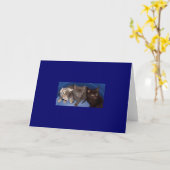 Indie, Little Gray and Micah Karte (Gelbe Blume)