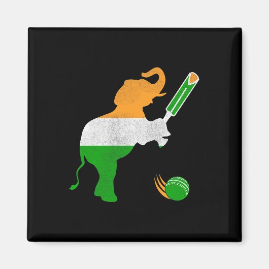 Indien Cricket 1 Magnet (Vorne)