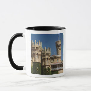 INDIEN, Karnataka, Bangalore: Bangalore-Palast Tasse