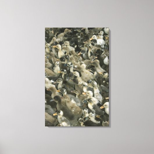 Indien Leinwanddruck (Vorderseite)