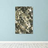 Indien Leinwanddruck (Insitu (Holzboden))