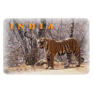 Indien Magnet
