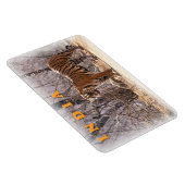 Indien Magnet (Rechte Seite)