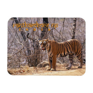 Indien Magnet