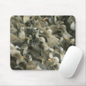Indien Mousepad (Mit Mouse)