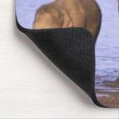 Indien, Nagarhole National Park. Asiatischer Elefa Mousepad (Ecke)