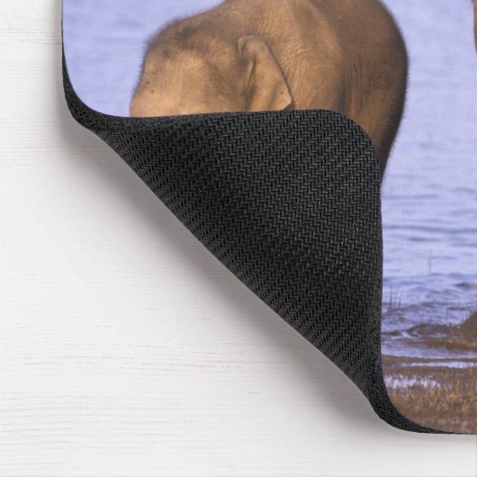 Indien, Nagarhole National Park. Asiatischer Elefa Mousepad (Ecke)