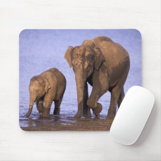 Indien, Nagarhole National Park. Asiatischer Elefa Mousepad (Mit Mouse)