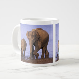 Indien, Nagarhole-Nationalpark. Asiatischer Elefan Jumbo-Tasse