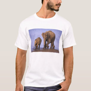 Indien, Nagarhole-Nationalpark. Asiatischer Elefan T-Shirt
