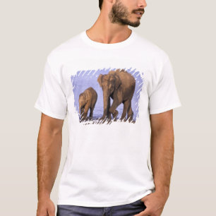 Indien, Nagarhole-Nationalpark. Asiatischer Elefan T-Shirt
