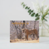 Indien Postkarte (Stehend Vorderseite)