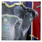 Indien, Rajasthan, Jaipur. Amber Fort. Fliese (Vorderseite)