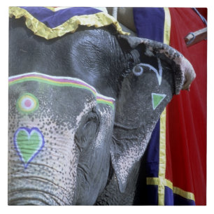 Indien, Rajasthan, Jaipur. Amber Fort. Fliese