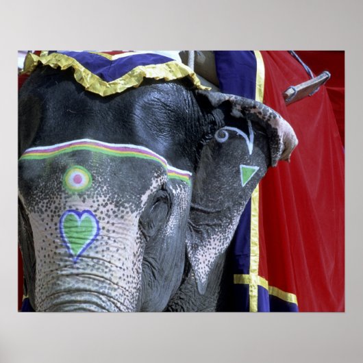 Indien, Rajasthan, Jaipur. Amber Fort. Poster (Vorne)