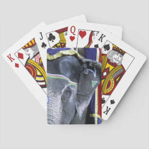 Indien, Rajasthan, Jaipur. Amber Fort. Spielkarten