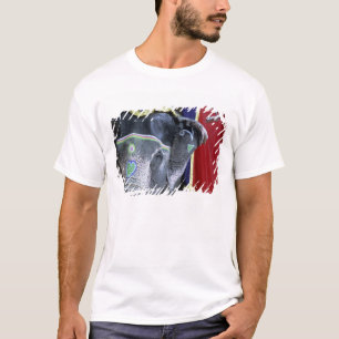 Indien, Rajasthan, Jaipur. Amber-Fort. T-Shirt