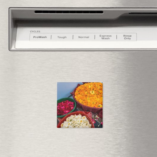 Indien, Rajasthan, Pipar Magnet (In Situ (Geschirrspüler))