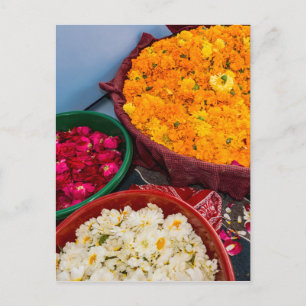 Indien, Rajasthan, Pipar Postkarte