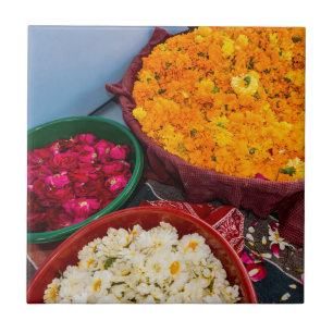 Indien, Rajasthan, Pipeline Fliese