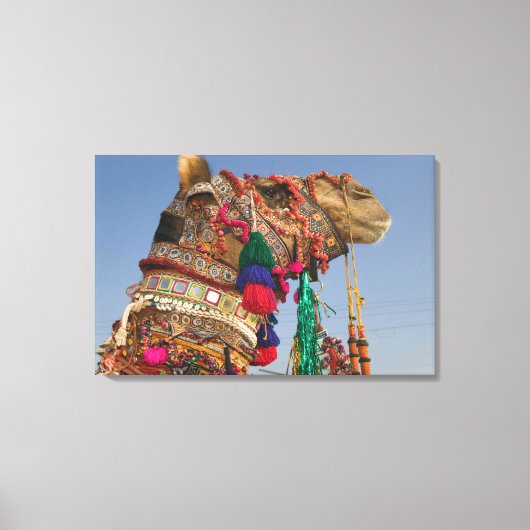 INDIEN, Rajasthan, Pushkar: PUSHKAR CAMEL FAIR, Leinwanddruck (Vorderseite)