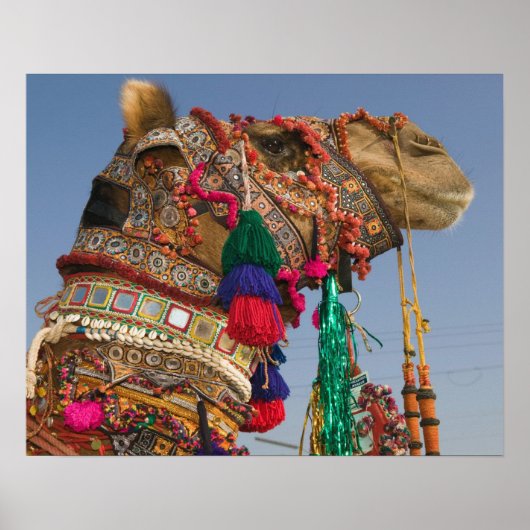 INDIEN, Rajasthan, Pushkar: PUSHKAR CAMEL FAIR, Poster (Vorne)