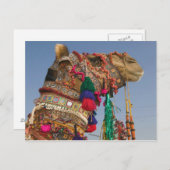 INDIEN, Rajasthan, Pushkar: PUSHKAR CAMEL FAIR, Postkarte (Vorne/Hinten)