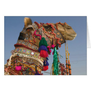 INDIEN, Rajasthan, Pushkar: PUSHKAR KAMELMESSEN,