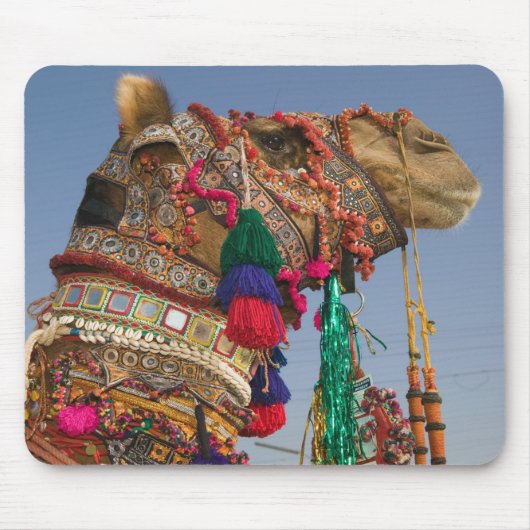 INDIEN, Rajasthan, Pushkar: PUSHKAR-KAMELMESSEN, Mousepad (Vorne)