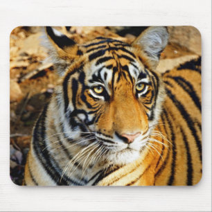 Indien, Sawai Madhopur, Ranthambore National Mousepad