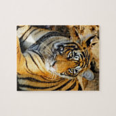 Indien, Sawai Madhopur, Ranthamoring National Puzzle (Horizontal)