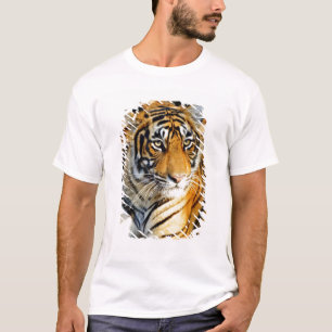 Indien, Sawai Madhopur, Ranthamoring National T-Shirt