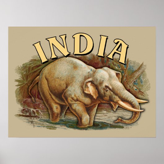 Indien Wildlife - Indischer Elefant Poster (Vorne)