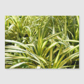 Indiens Lied Magnetkarte (Vorderseite)