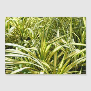 Indiens Lied Magnetkarte