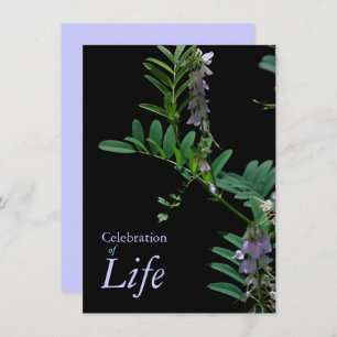 Indigo 2 Feier zur Beerdigung des Lebens Einladung