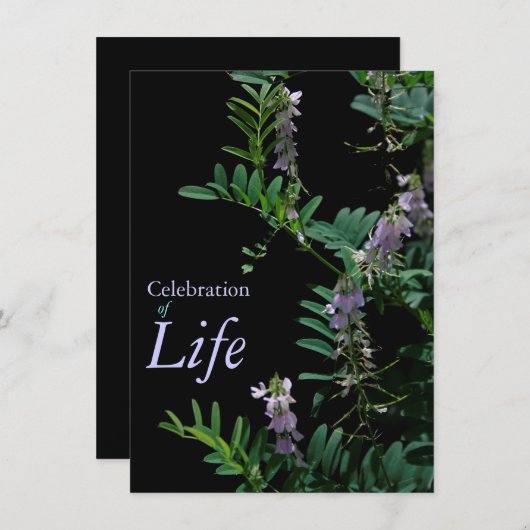 Indigo 3 Feier der Beerdigung des Lebens Einladung (Vorne/Hinten)